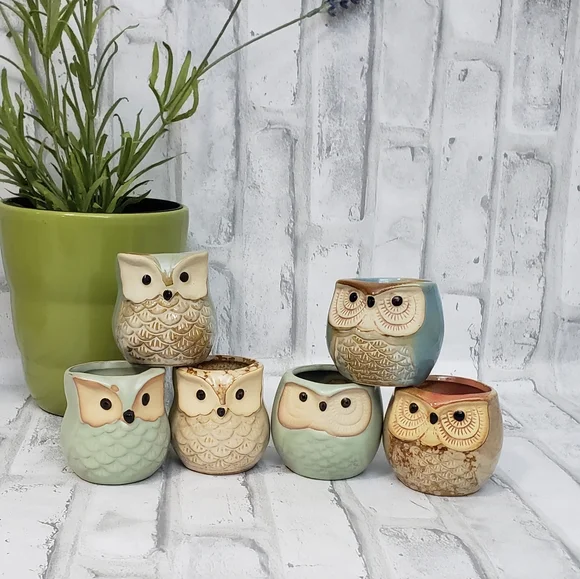 Home Interiors | Other | Cute Owl Succulent Plant Pots Mini Ceramic Planters  6 | Poshmark